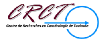 logo_final_CRCT_2.png